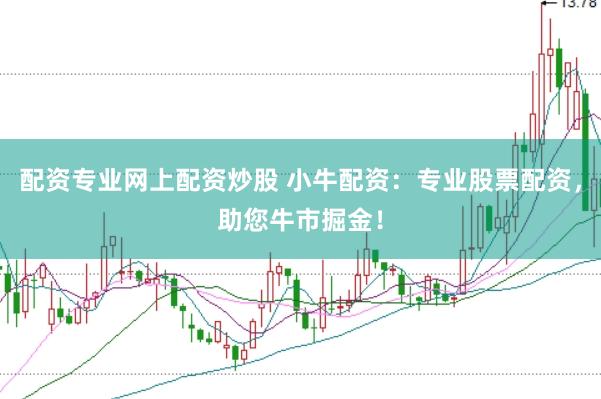 配资专业网上配资炒股 小牛配资：专业股票配资，助您牛市掘金！