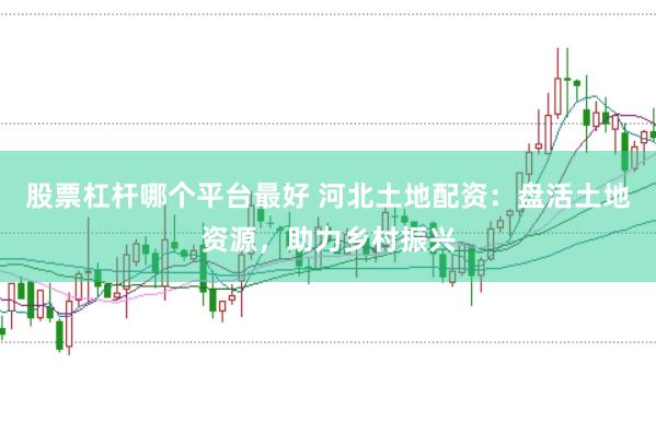 股票杠杆哪个平台最好 河北土地配资：盘活土地资源，助力乡村振兴