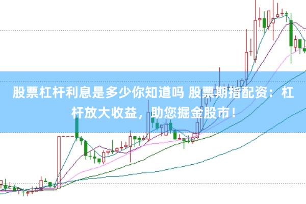股票杠杆利息是多少你知道吗 股票期指配资：杠杆放大收益，助您掘金股市！