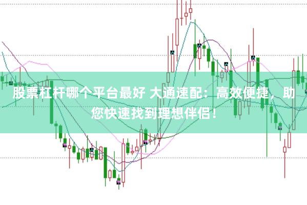 股票杠杆哪个平台最好 大通速配：高效便捷，助您快速找到理想伴侣！