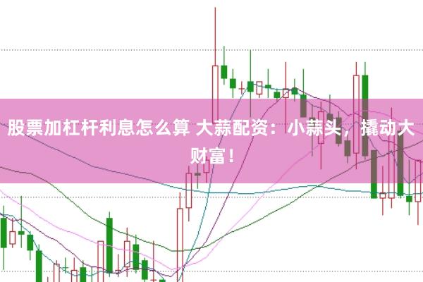 股票加杠杆利息怎么算 大蒜配资：小蒜头，撬动大财富！