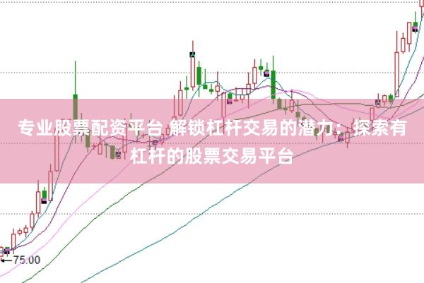 专业股票配资平台 解锁杠杆交易的潜力：探索有杠杆的股票交易平台