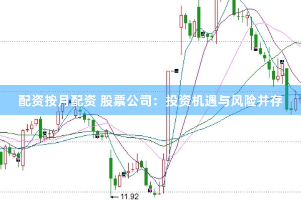 配资按月配资 股票公司：投资机遇与风险并存