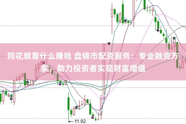 同花顺靠什么赚钱 盘锦市配资服务：专业融资方案，助力投资者实现财富增值