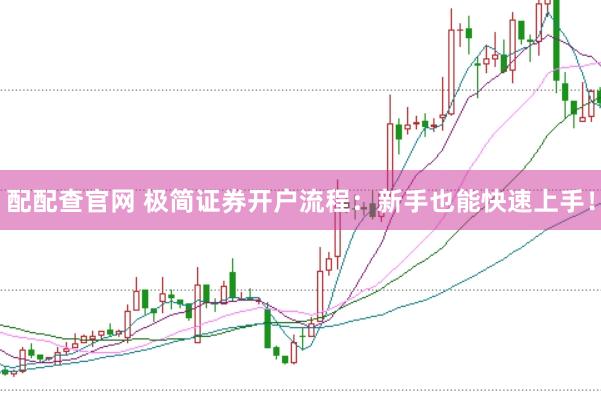 配配查官网 极简证券开户流程：新手也能快速上手！