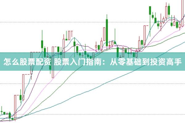怎么股票配资 股票入门指南：从零基础到投资高手