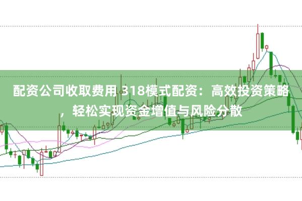 配资公司收取费用 318模式配资：高效投资策略，轻松实现资金增值与风险分散