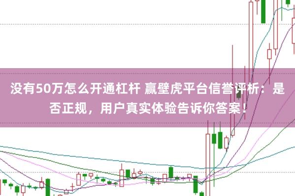 没有50万怎么开通杠杆 赢壁虎平台信誉评析：是否正规，用户真实体验告诉你答案！