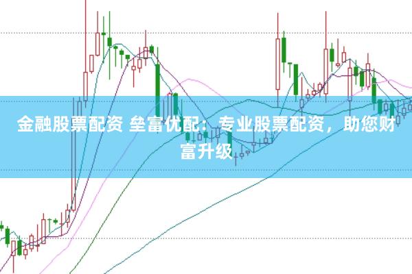 金融股票配资 垒富优配：专业股票配资，助您财富升级
